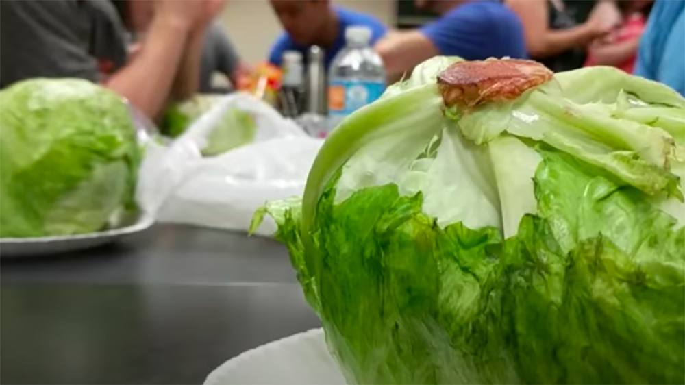 What ever happened to the Lettuce Club? The Diamondback