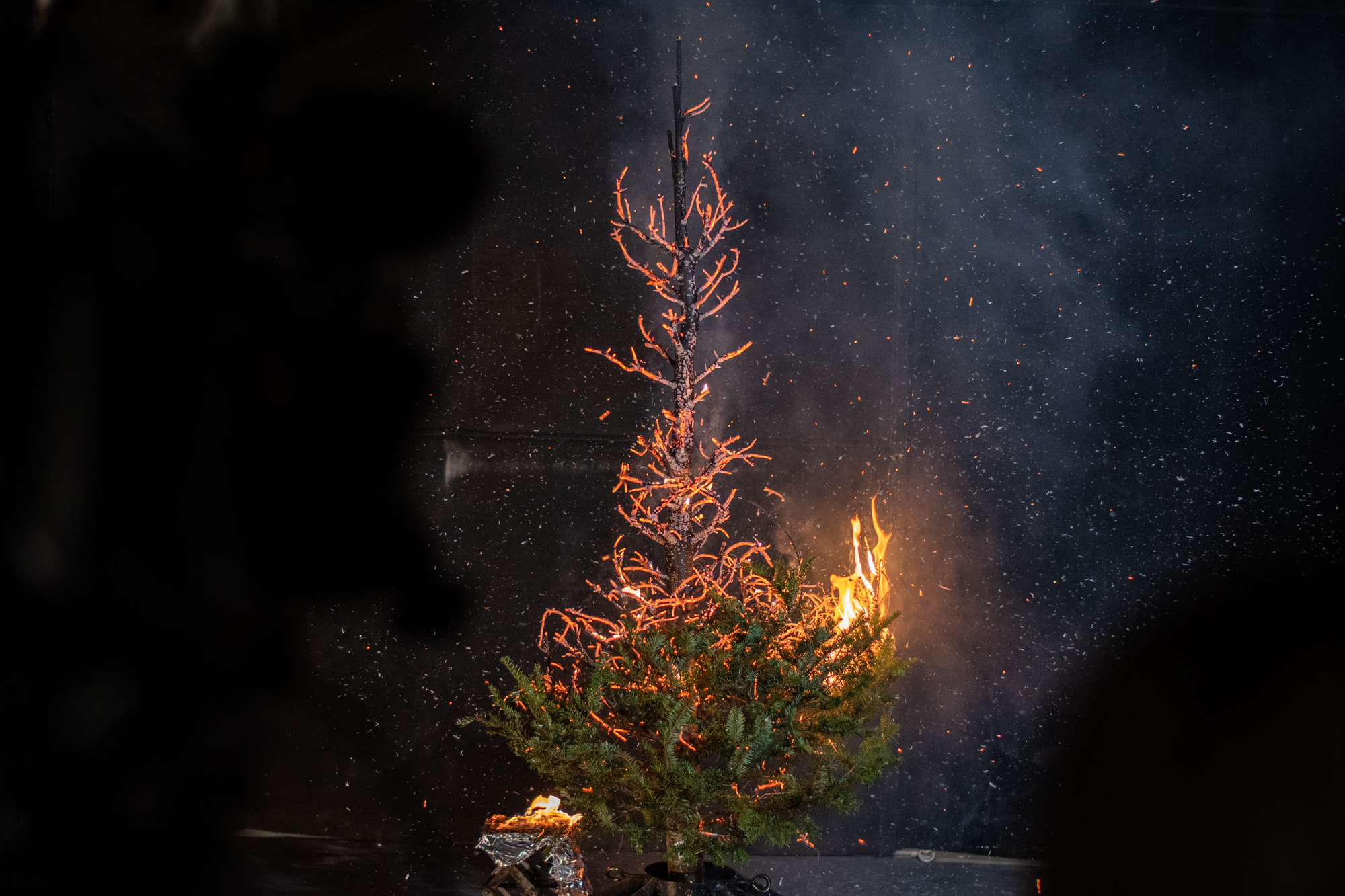 Pines ablaze Fire Protection Engineering holds annual Christmas tree