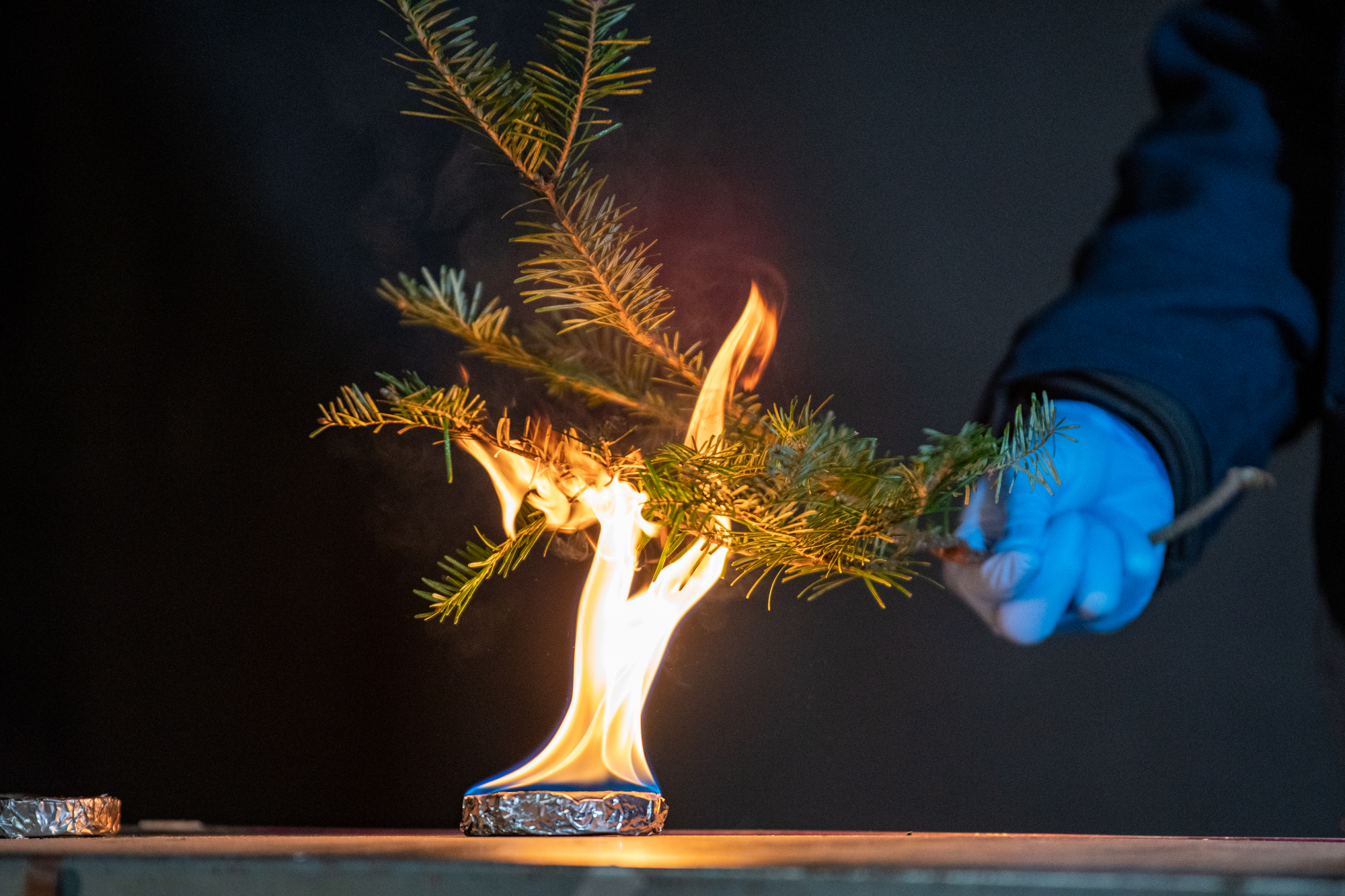 Pines ablaze Fire Protection Engineering holds annual Christmas tree