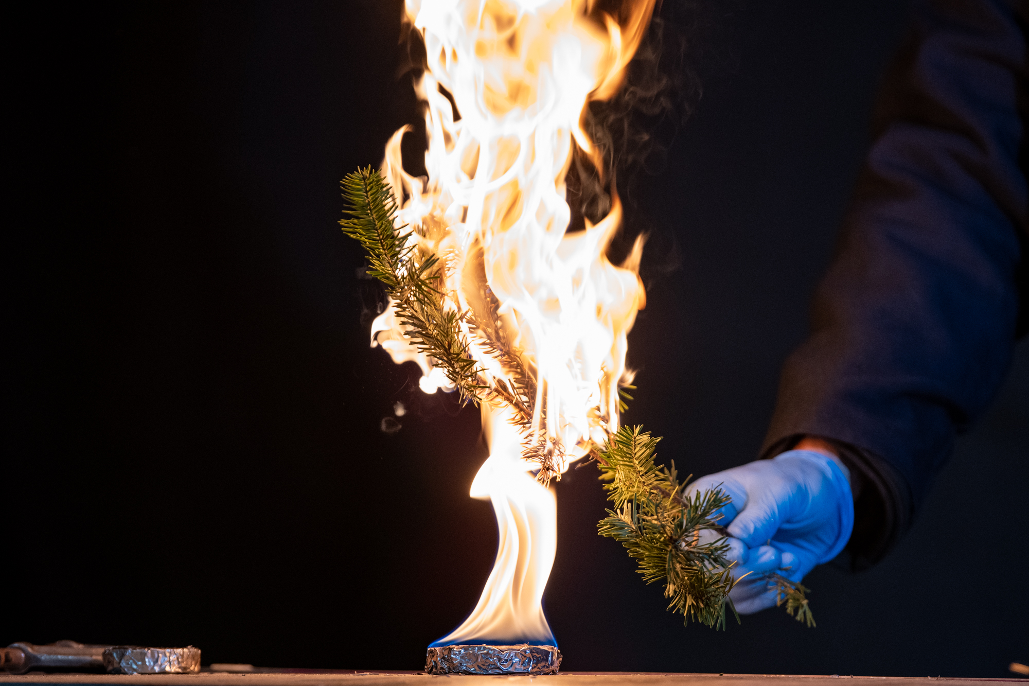 Pines ablaze Fire Protection Engineering holds annual Christmas tree