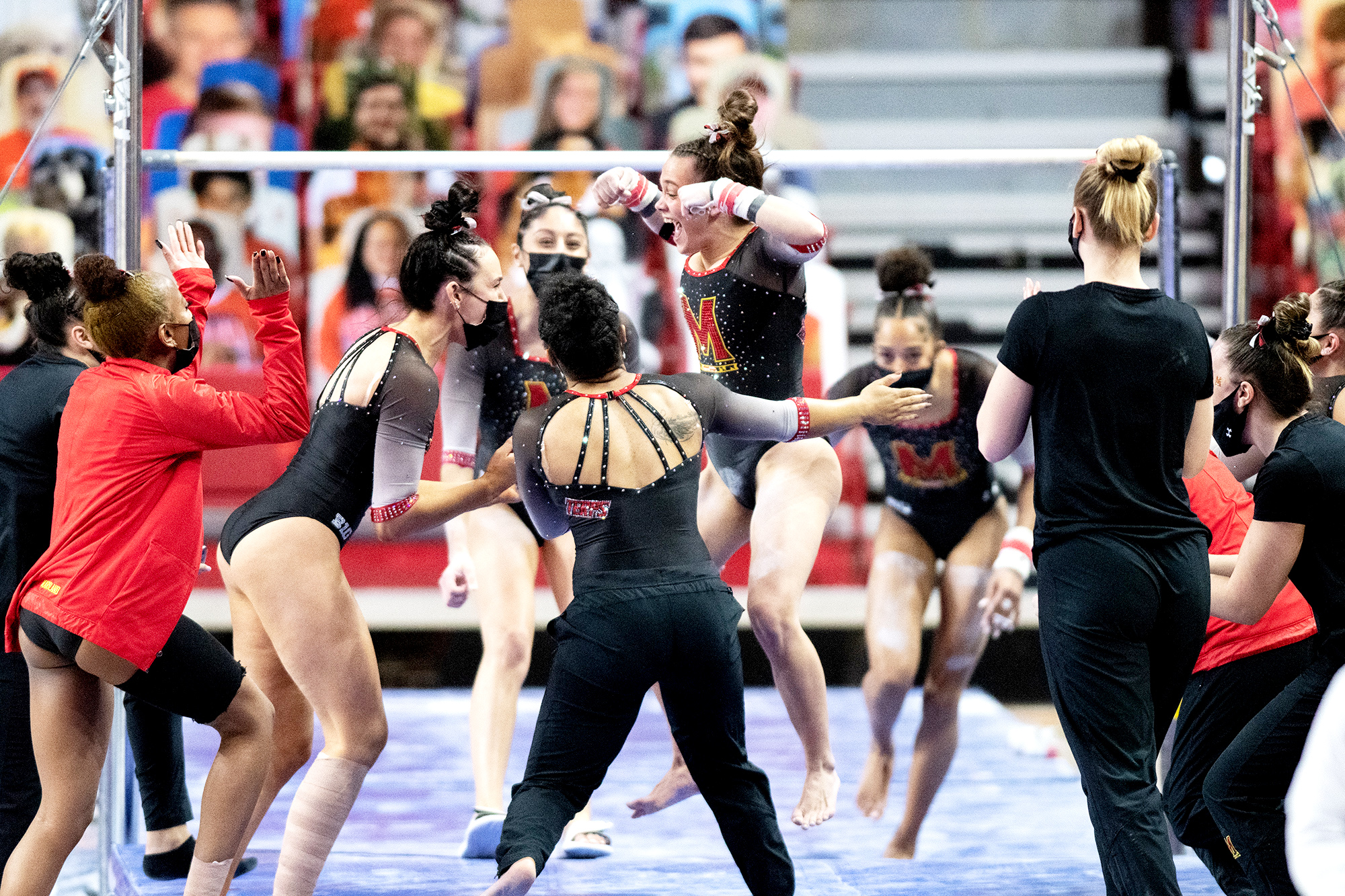 Maryland gymnastics wins seasonopening Pitt TriMeet with 192.925